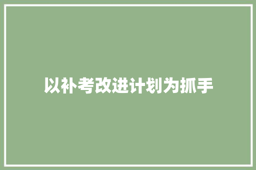 以补考改进计划为抓手，全面提升教学质量_以某高校为例