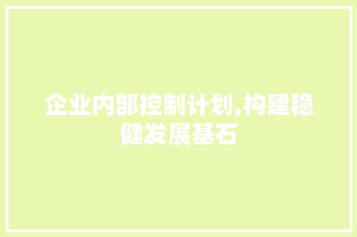 企业内部控制计划,构建稳健发展基石