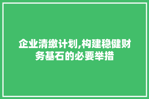 企业清缴计划,构建稳健财务基石的必要举措