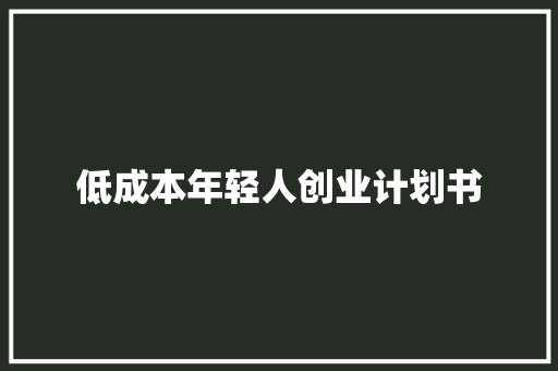 低成本年轻人创业计划书