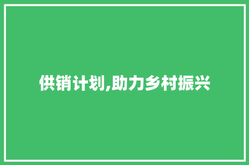 供销计划,助力乡村振兴，构建和谐供应链
