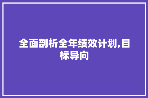 全面剖析全年绩效计划,目标导向，绩效提升之路