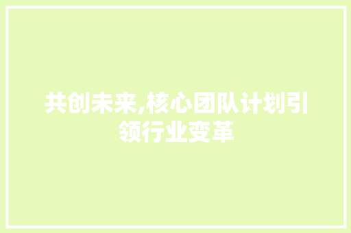 共创未来,核心团队计划引领行业变革