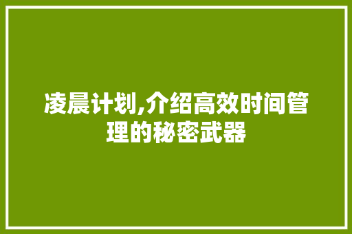 凌晨计划,介绍高效时间管理的秘密武器