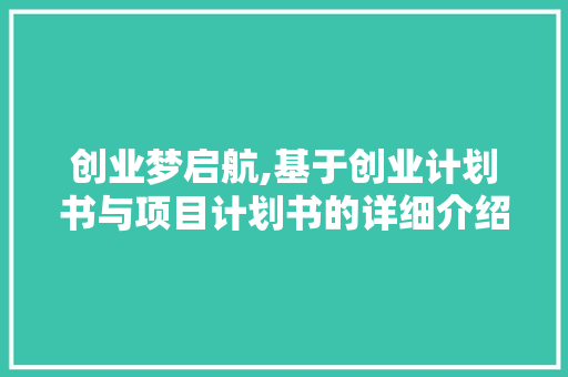 创业梦启航,基于创业计划书与项目计划书的详细介绍