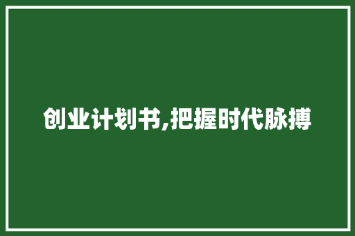 创业计划书,把握时代脉搏，引领未来发展