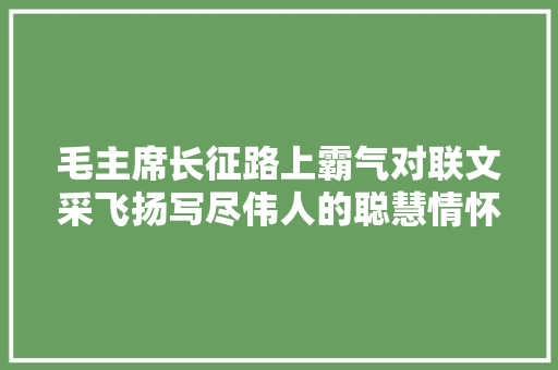 毛主席长征路上霸气对联文采飞扬写尽伟人的聪慧情怀