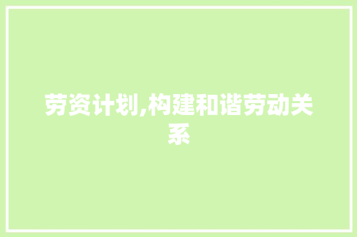 劳资计划,构建和谐劳动关系，推动企业可持续发展