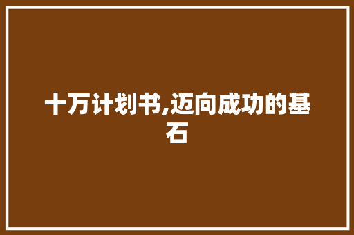 十万计划书,迈向成功的基石