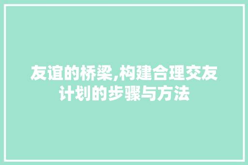友谊的桥梁,构建合理交友计划的步骤与方法