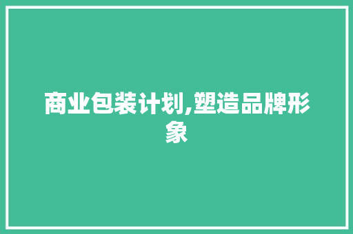 商业包装计划,塑造品牌形象，提升市场竞争力的关键步骤