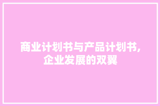商业计划书与产品计划书,企业发展的双翼