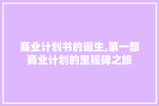 商业计划书的诞生,第一部商业计划的里程碑之旅