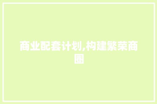 商业配套计划,构建繁荣商圈，助力城市经济发展