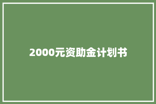 2000元资助金计划书