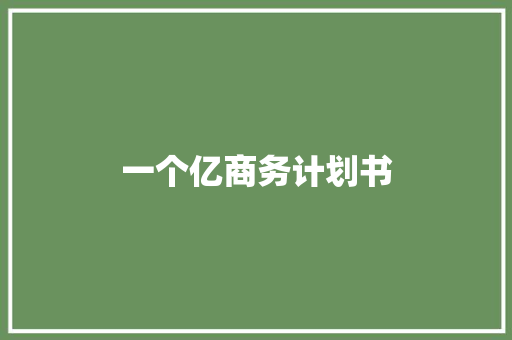一个亿商务计划书