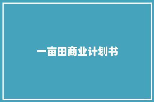 一亩田商业计划书