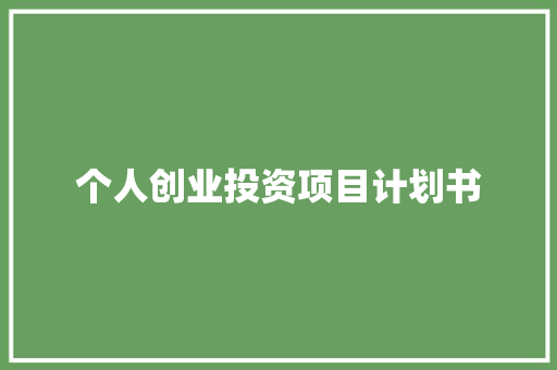 个人创业投资项目计划书