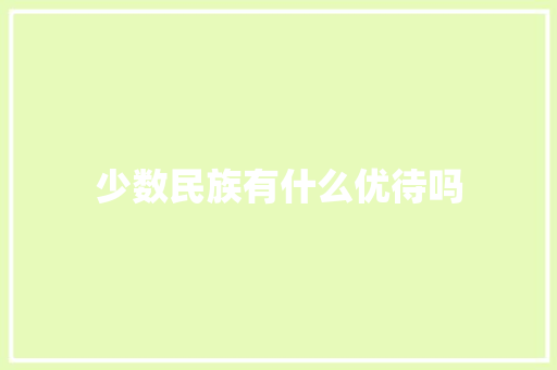 少数民族有什么优待吗