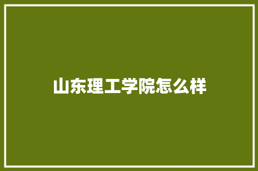 山东理工学院怎么样