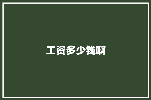 工资多少钱啊