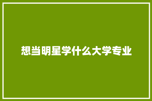 想当明星学什么大学专业