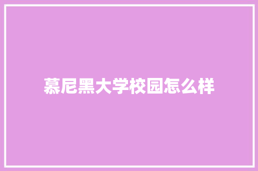 慕尼黑大学校园怎么样