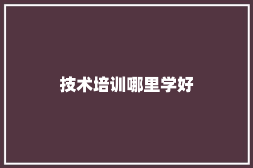 技术培训哪里学好