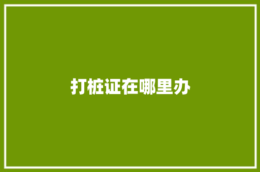 打桩证在哪里办