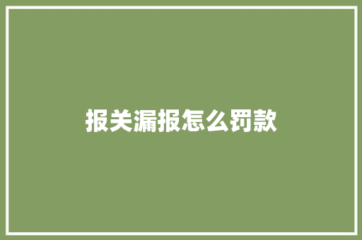 报关漏报怎么罚款