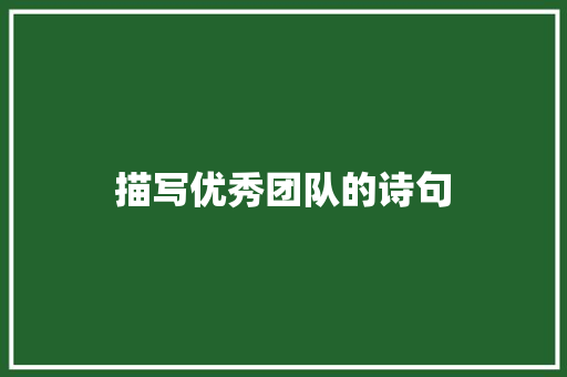 描写优秀团队的诗句