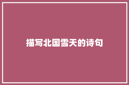 描写北国雪天的诗句
