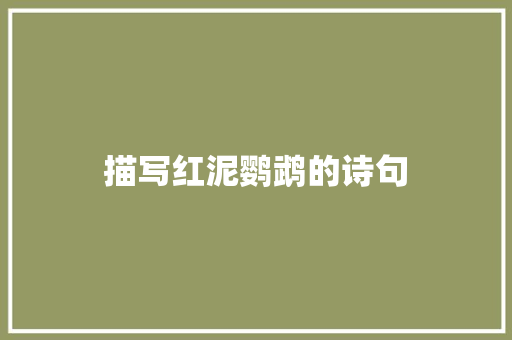 描写红泥鹦鹉的诗句
