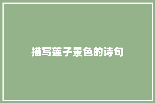 描写莲子景色的诗句
