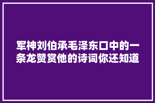 军神刘伯承毛泽东口中的一条龙赞赏他的诗词你还知道若干