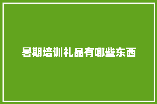暑期培训礼品有哪些东西