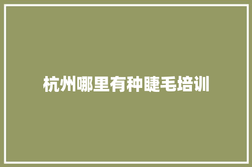 杭州哪里有种睫毛培训