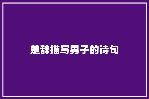 楚辞描写男子的诗句