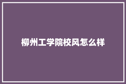 柳州工学院校风怎么样