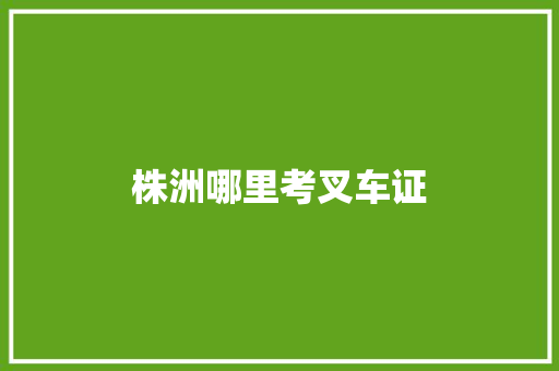 株洲哪里考叉车证