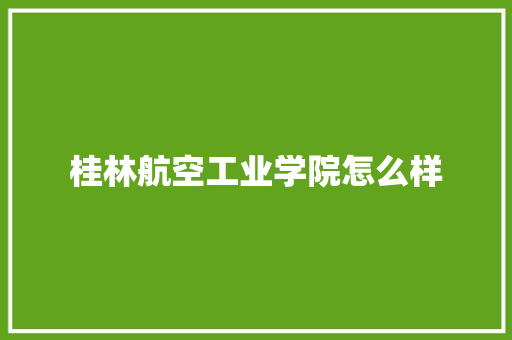 桂林航空工业学院怎么样