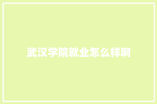 武汉学院就业怎么样啊
