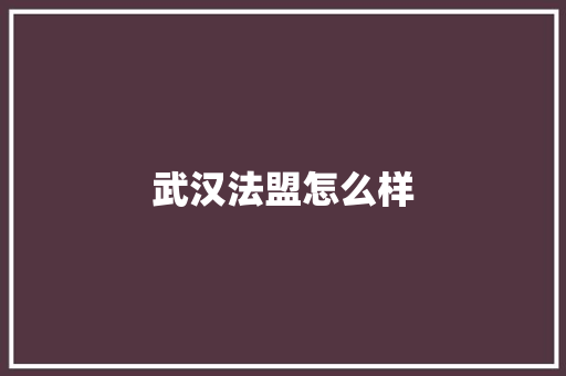 武汉法盟怎么样