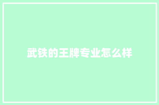 武铁的王牌专业怎么样