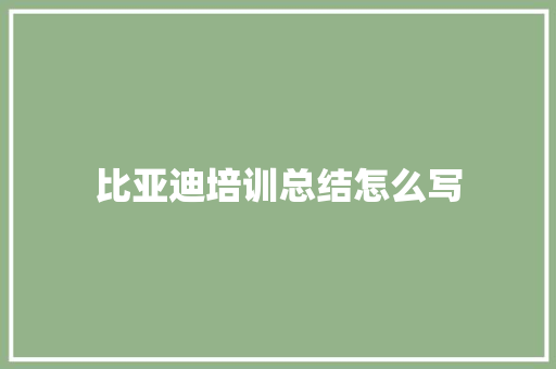 比亚迪培训总结怎么写