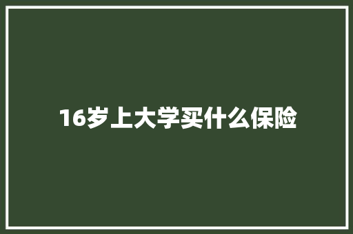 16岁上大学买什么保险