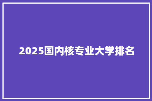 2025国内核专业大学排名