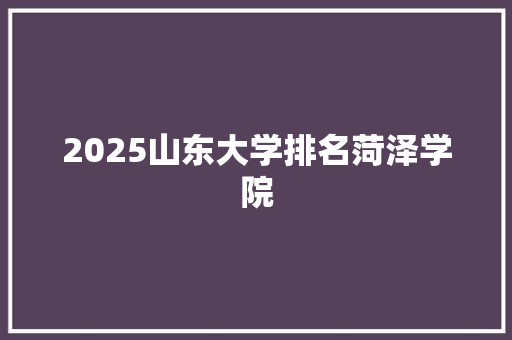 2025山东大学排名菏泽学院