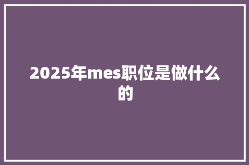 2025年mes职位是做什么的