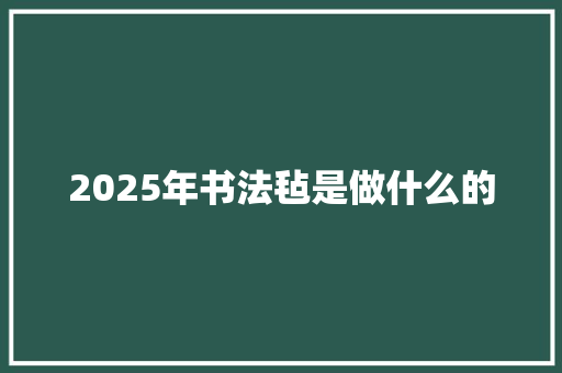 2025年书法毡是做什么的